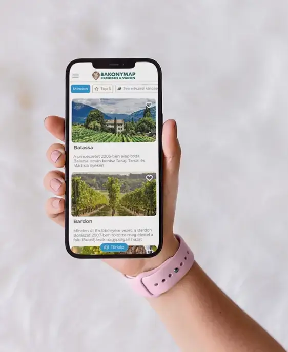 Developing a Solution for a Touristic Region